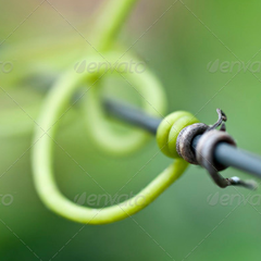 绿色轰炸工具版